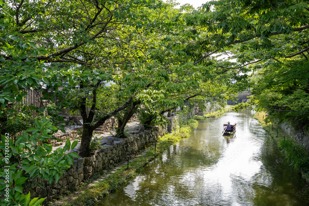 夏の八幡堀 夏の八幡堀