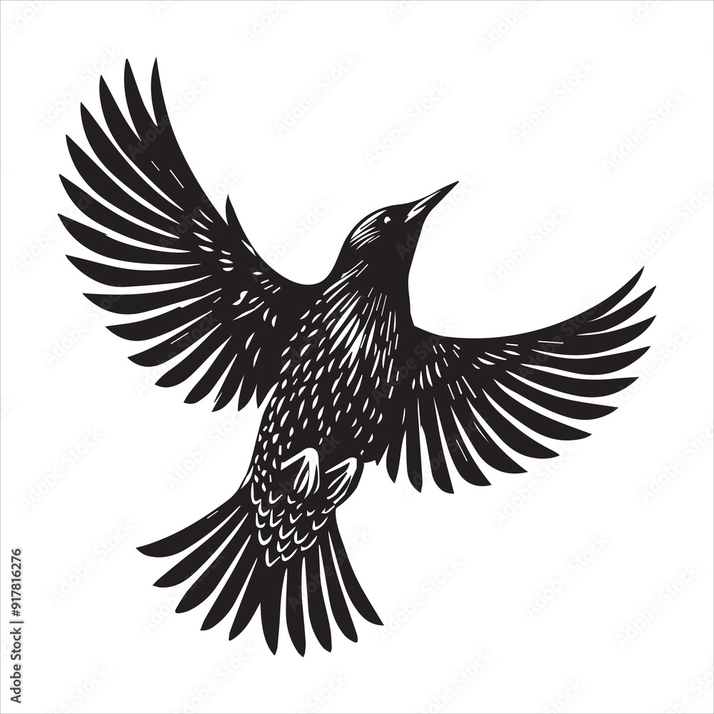 Fototapeta premium Common Starling Clipart, Starling silhouette, European starling illustration in black and white 