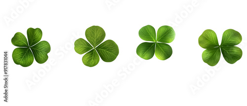 Four Green Clovers Isolated on a Black Background