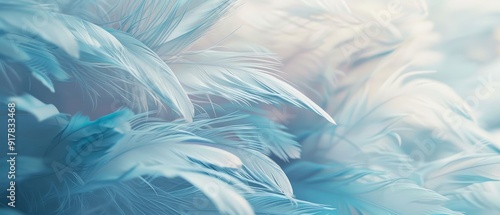 Wallpaper Mural  soft feather texture Torontodigital.ca