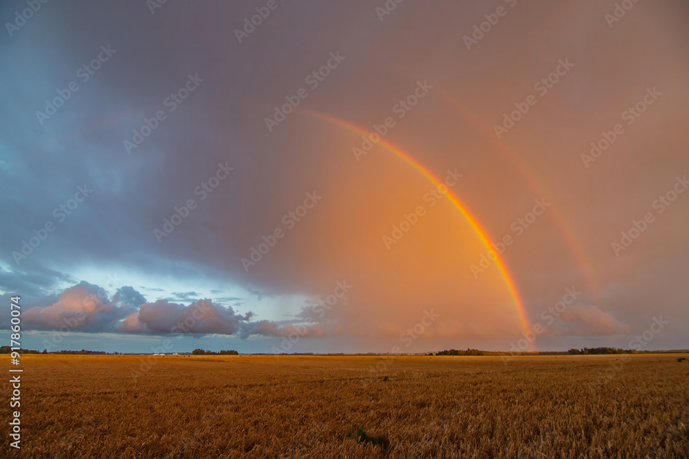 Double Rainbow Over a Field. Stormy Clouds on Sunset Light. National Find a Rainbow Day, World Rainbow Day. International LGBT Pride Day Double Rainbow Over a Field. Stormy Clouds on Sunset Light. National Find a Rainbow Day, World Rainbow Day. International LGBT Pride Day