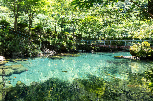 エメラルドグリーンが美しい夏の白龍湖