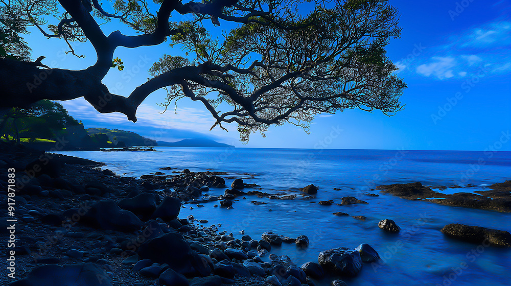 Solitary tree and group of trees along a serene beach and in the sea, surrounded by tranquil water and a vibrant sunset sky Solitary tree and group of trees along a serene beach and in the sea, surrounded by tranquil water and a vibrant sunset sky