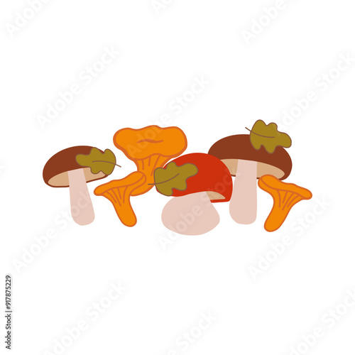 A collection of colorful mushrooms in various shapes on a white background