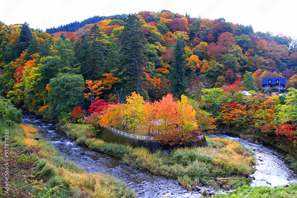 Obraz premium 中野もみじ山の紅葉（青森県・黒石市）