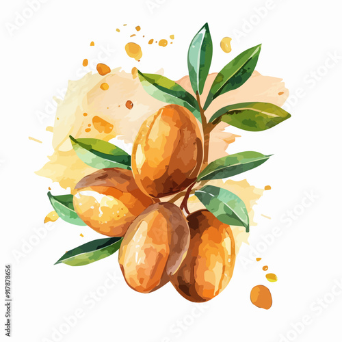 Watercolor argan nuts label in flat paper design isolated on white, argan branch with leaves and splash color, argan plants illustration