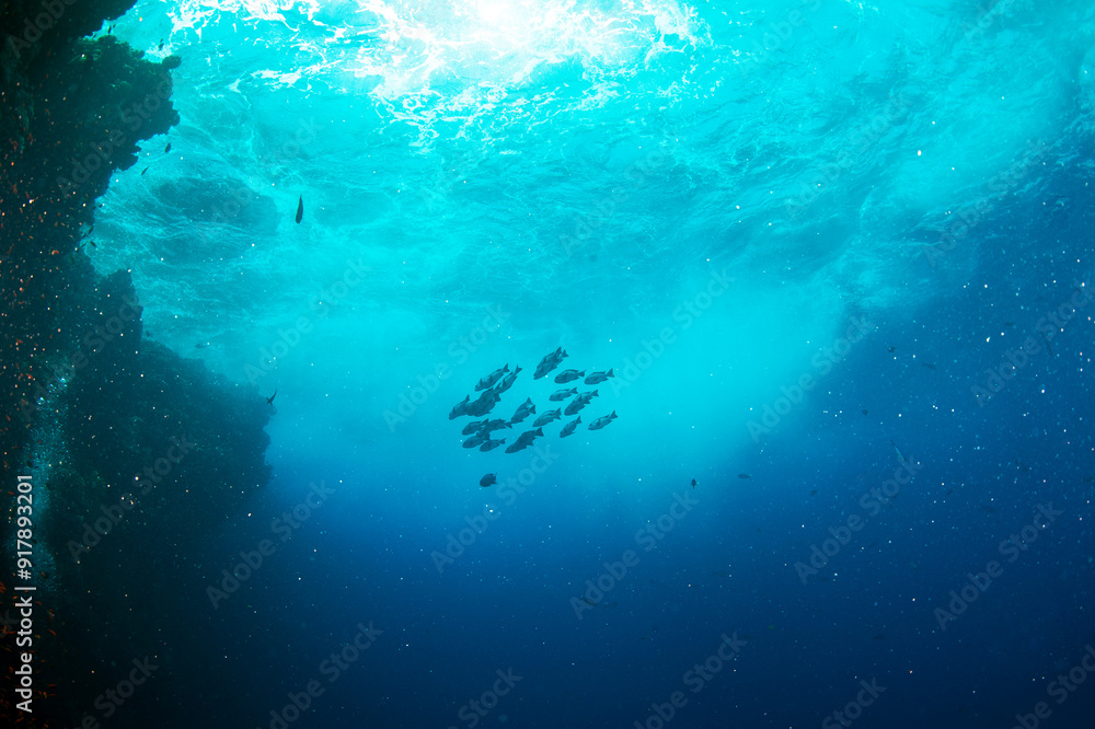 However, these monuments to the bloody pages in human history are gradually disappearing, and in the coming years there may be nothing left of many ships and planes from the two world wars.