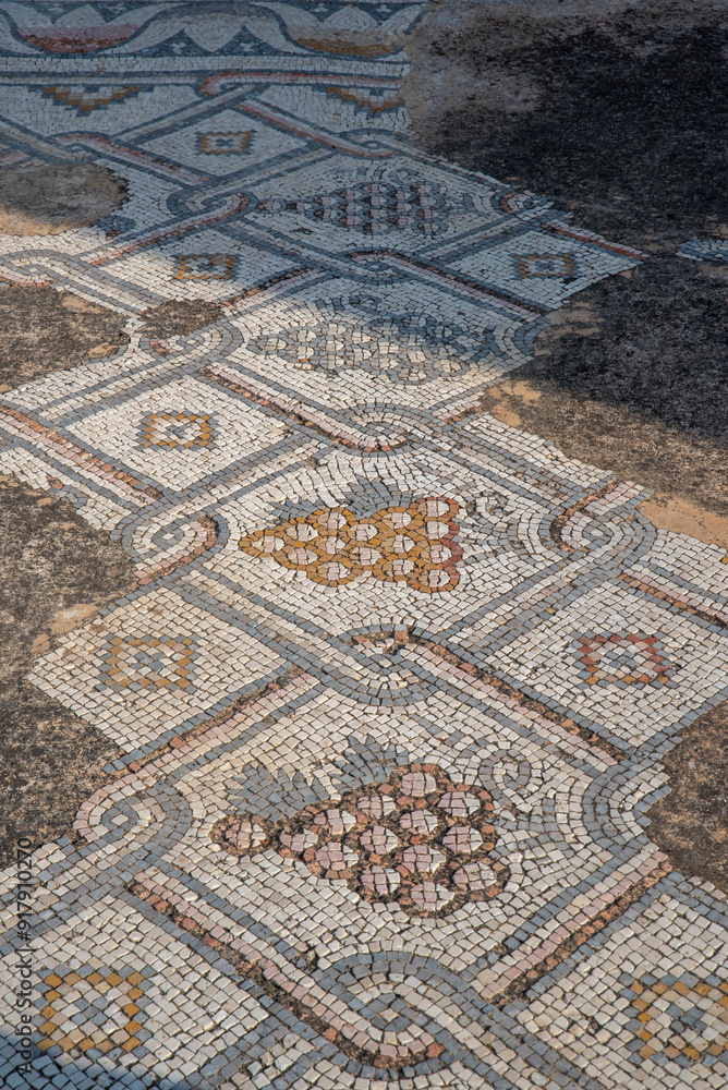 Beautiful mosaic floor in the ruins of the Byzantine church at Kursi (Gerassa) National Park near the Sea of Galilee in Israel.
Beautiful mosaic floor in the ruins of the Byzantine church at Kursi (Gerassa) National Park near the Sea of Galilee in Israel.
