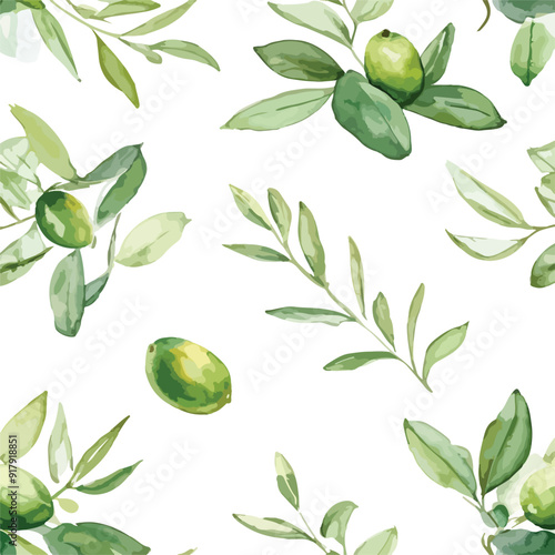 Olive Watercolor illustration. Hand drawn underwater element design. Artistic vector marine design element. Illustration for greeting cards, printing and other design projects.
