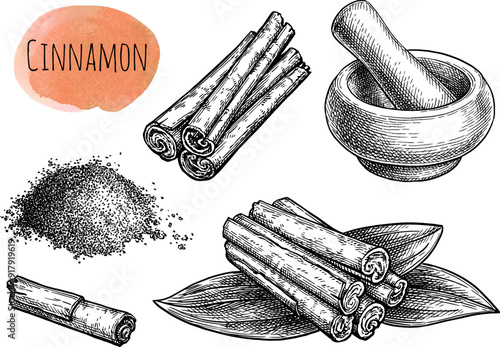 Cinnamon ink sketch set
