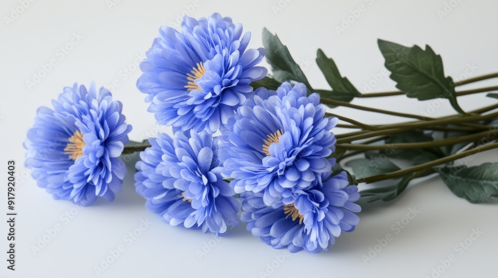 Beautiful bouquet of blue chrysanthemums on a white background. Perfect for floral-themed projects and nature-related designs. Beautiful bouquet of blue chrysanthemums on a white background. Perfect for floral-themed projects and nature-related designs.