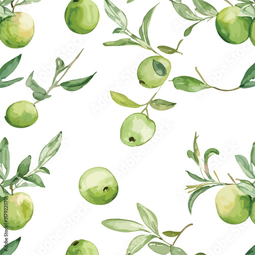 Olive Watercolor illustration. Hand drawn underwater element design. Artistic vector marine design element. Illustration for greeting cards, printing and other design projects.
