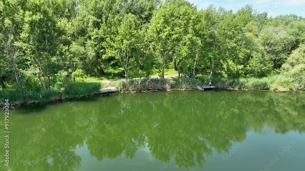 Aerial view of a lake during summer with people fishing, surrounded by reed, trees and agricultural land with wheat and corn. Flying above lake. Aerial view of a lake during summer with people fishing, surrounded by reed, trees and agricultural land with wheat and corn. Flying above lake.