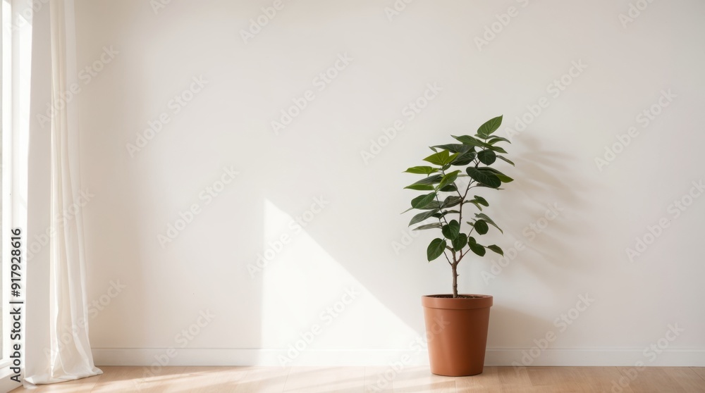 A sleek interior design enhanced by a potted plant A sleek interior design enhanced by a potted plant