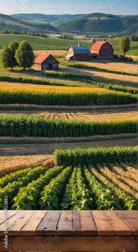 landscape with vineyard and farm