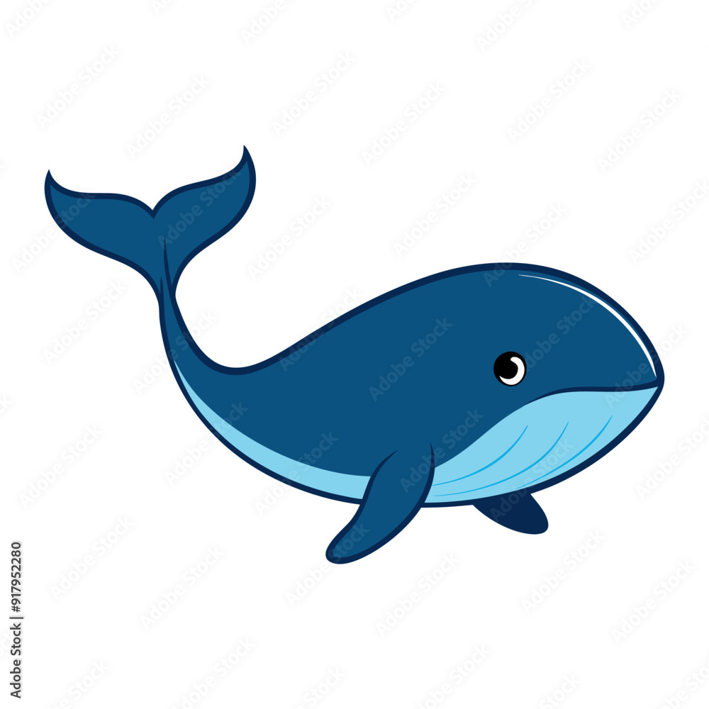 Vector cartoon illustrations of whale on a white background. Vector cartoon illustrations of whale on a white background.