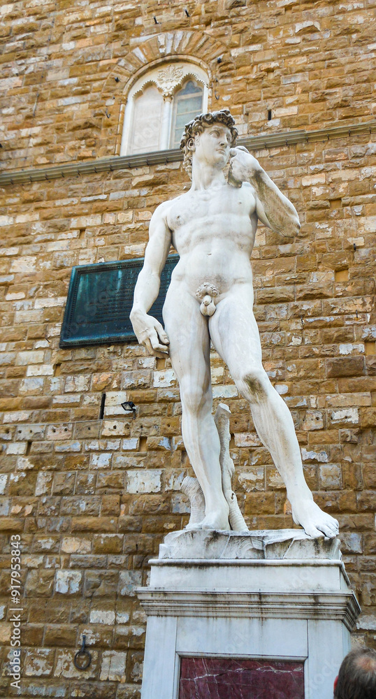 Naklejka premium Florence, Italy- 04.08.2014 - Replica of the David statue by Michelangelo Buonarroti. Travel