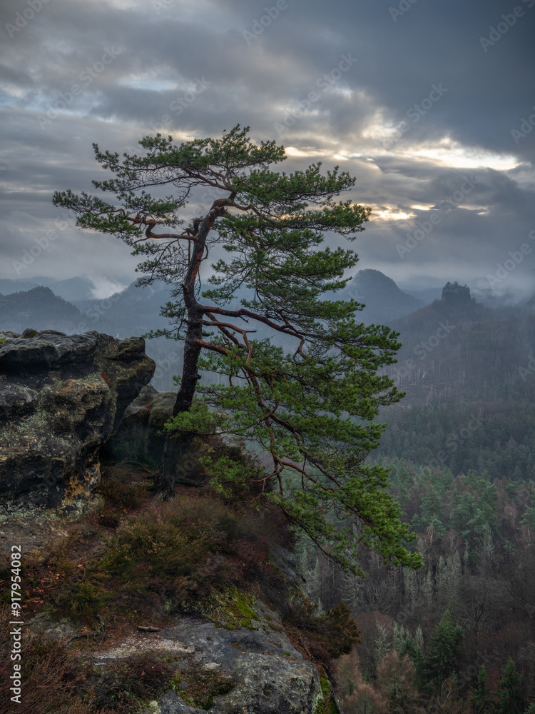 a mystic morning view - ein mystischer Morgenblick a mystic morning view - ein mystischer Morgenblick