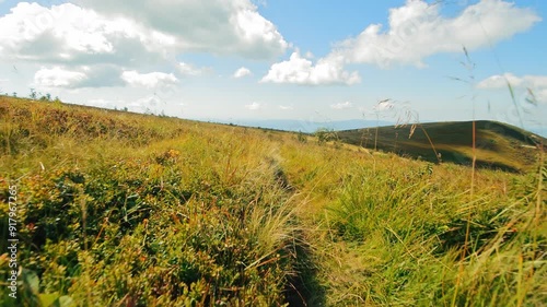 Back view on a grassy path, with mountains in the background. photo