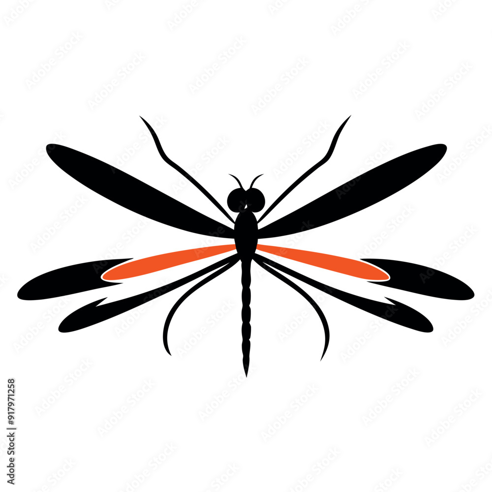 vector illustrations of dragonfly on white background vector illustrations of dragonfly on white background