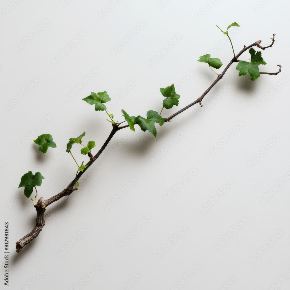 I Am the Vine, You Are the Branches: Symbolic Art of Life, Connection, and the Bond in Christian Inspirational Projects as Depicted in John 15:5. I Am the Vine, You Are the Branches: Symbolic Art of Life, Connection, and the Bond in Christian Inspirational Projects as Depicted in John 15:5.