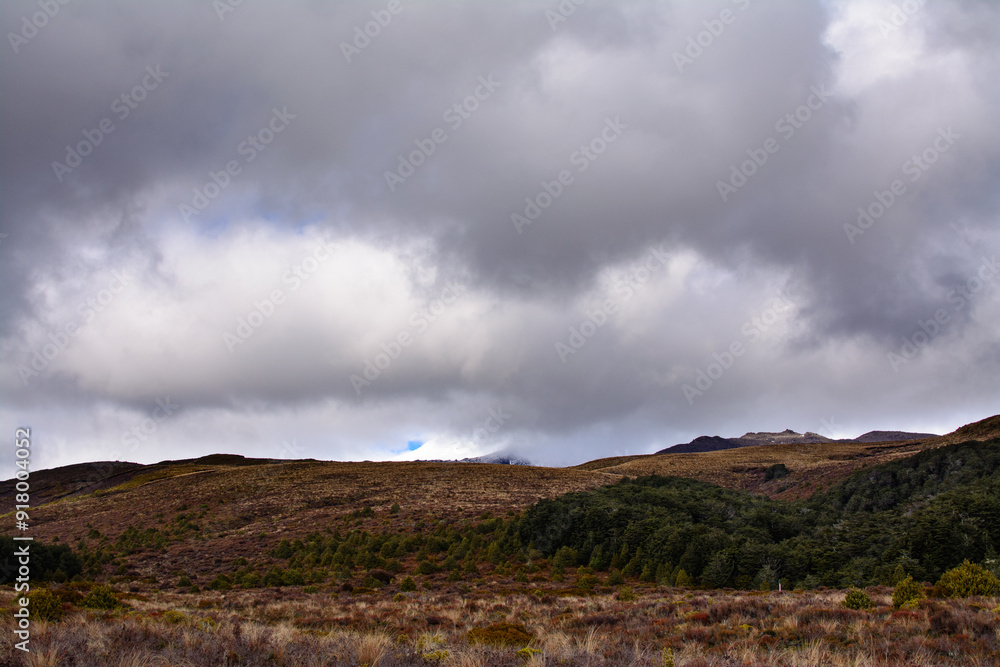 Snow blanketed cone of Mt Ruapehu barely visible in the low clouds. Desolated high land field in Central Plateau of New Zealand. Tongariro National Park, North Island Snow blanketed cone of Mt Ruapehu barely visible in the low clouds. Desolated high land field in Central Plateau of New Zealand. Tongariro National Park, North Island