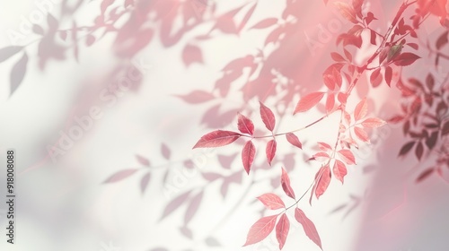 Wallpaper Mural Blurred abstract of pink shadows and leaves on a white wall for backdrop design Torontodigital.ca