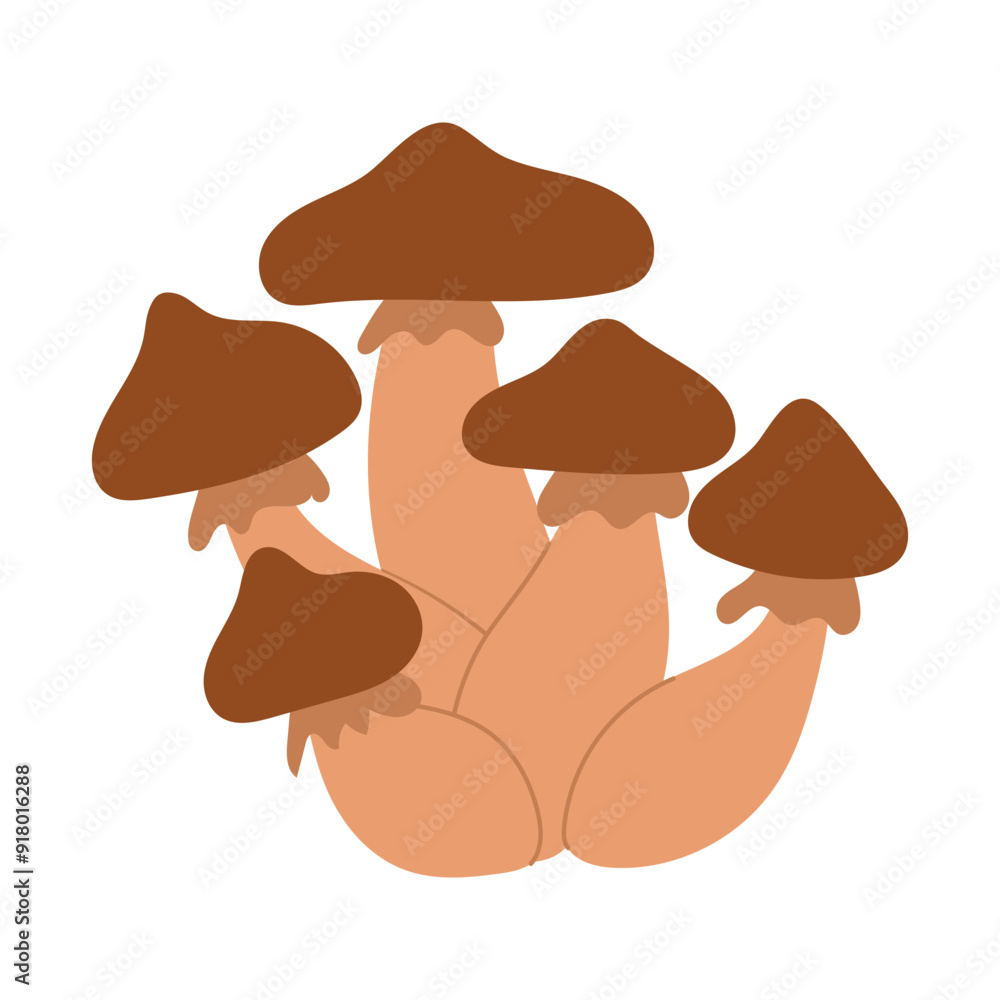 Fototapeta premium Honey fungus mushrooms, vector illustration of Armillaria mushrooms forest mushrooms hand drawn in cartoon style. Colored icon, ideal for botanical illustrations, autumn.