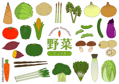 色々な野菜のイラストのセット_主線あり
