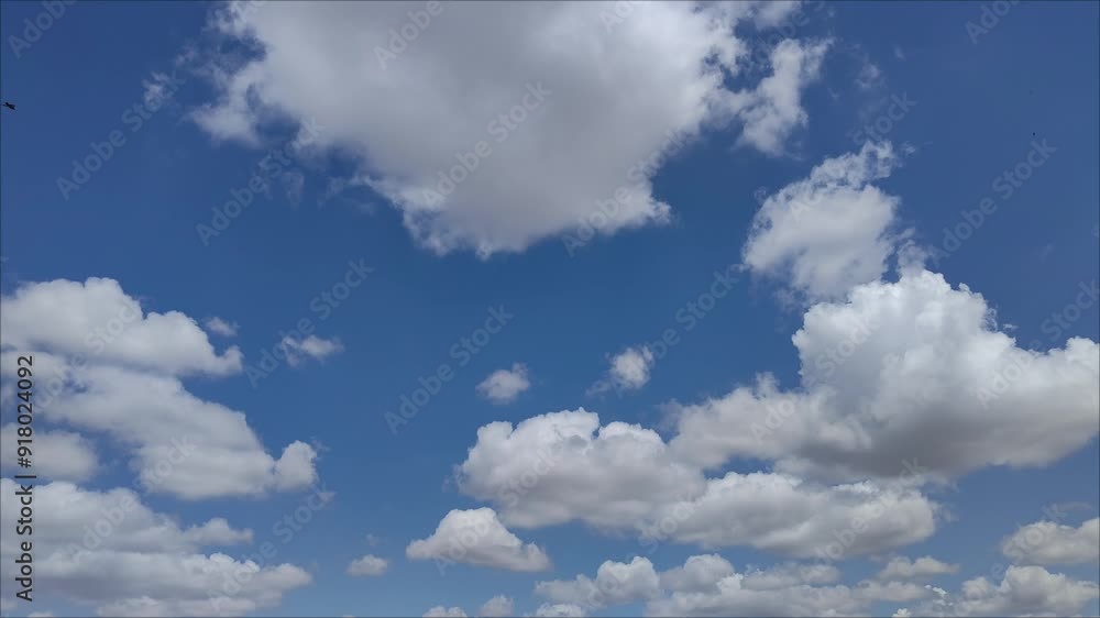 Sky landscape of white cumulus clouds moving across the sky Sky landscape of white cumulus clouds moving across the sky