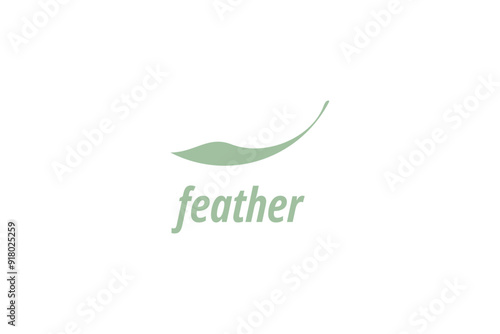 Template logo design solution with simple feather image