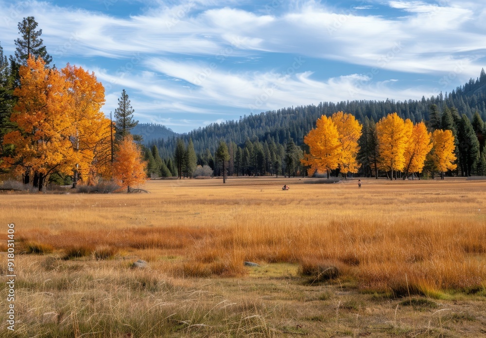 Fototapeta premium Autumn Meadow In Forest With Colorful Foliage Under Blue Sky In Afternoon
