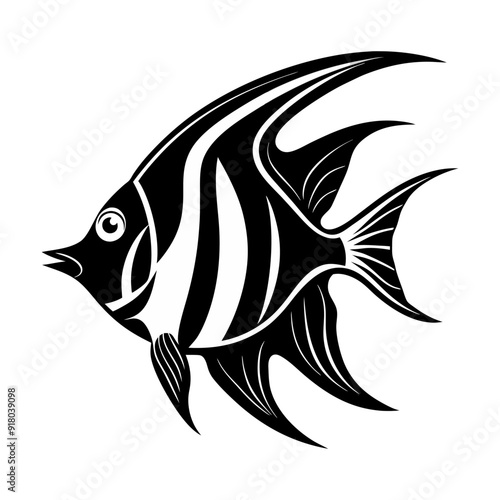 angel fish black and white vector