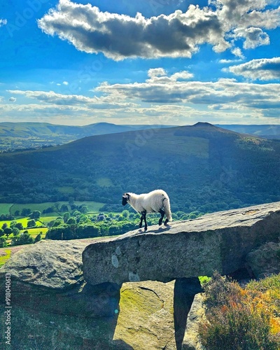 Bamford Edge, Win Hill, Derbyshire, Peak District National Park, UK, Landscape Photography, Sheep photo