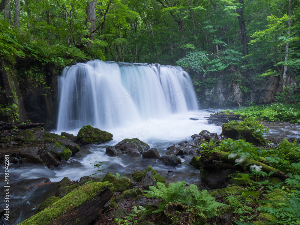 Obraz premium 奥入瀬渓流