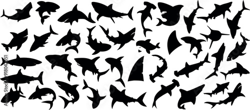 Shark silhouette vector set, fins, hammerhead, great white shark in black shapes, aquatic, marine life, predator icon, sea creatures, ocean wildlife vector animals