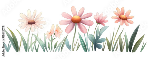 A vibrant illustration of colorful flowers in a lush green field, perfect for spring themes and nature-inspired designs. transparent background photo