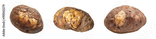 set of rotten potato on isoalted background