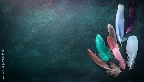 A set of vibrant feathers  photo