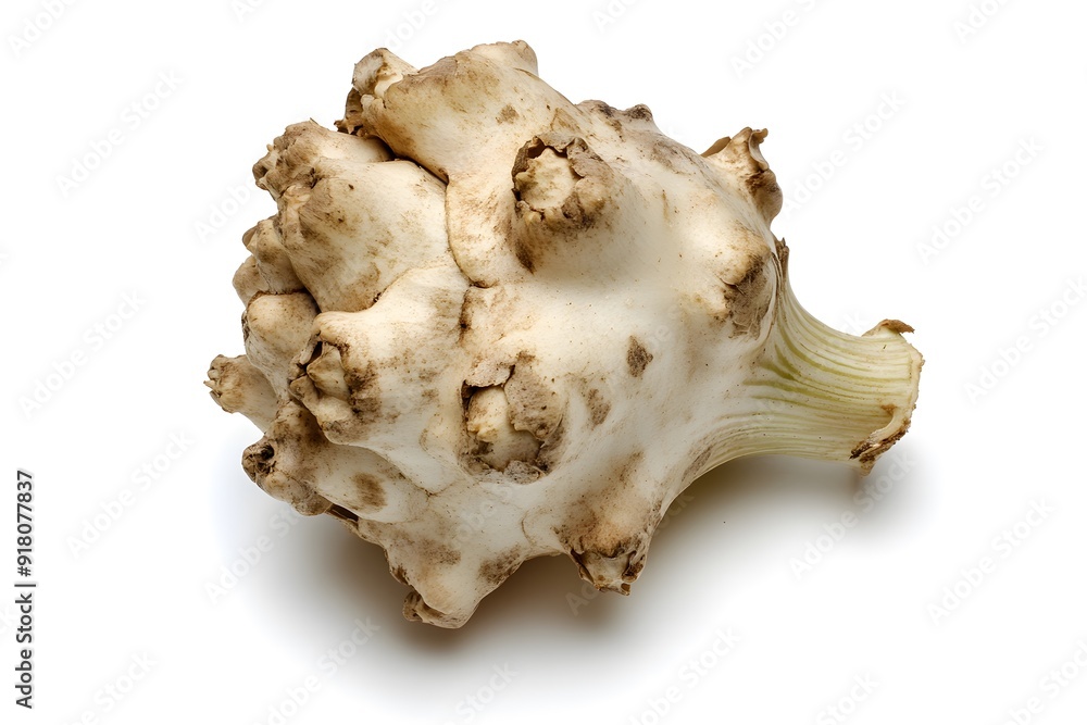 Close-up of a knobby white vegetable on a white background. Close-up of a knobby white vegetable on a white background.