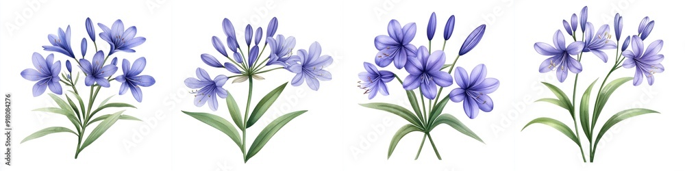 A collection of beautiful blue flowers arranged symmetrically, perfect for botanical designs and nature-themed projects. A collection of beautiful blue flowers arranged symmetrically, perfect for botanical designs and nature-themed projects.