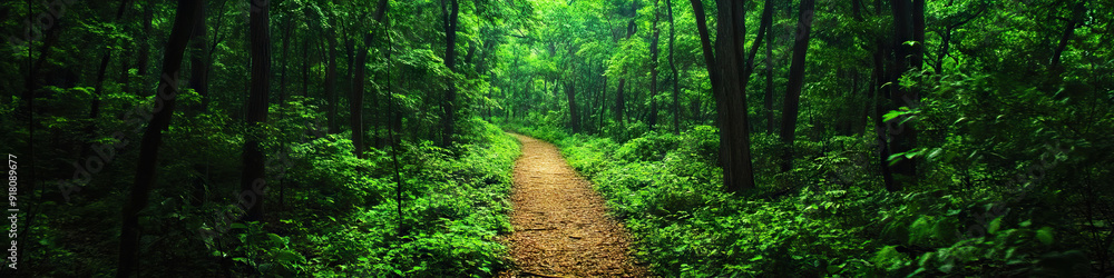 Passage: A clear pathway winds between lush green forests, beckoning exploration. Passage: A clear pathway winds between lush green forests, beckoning exploration.