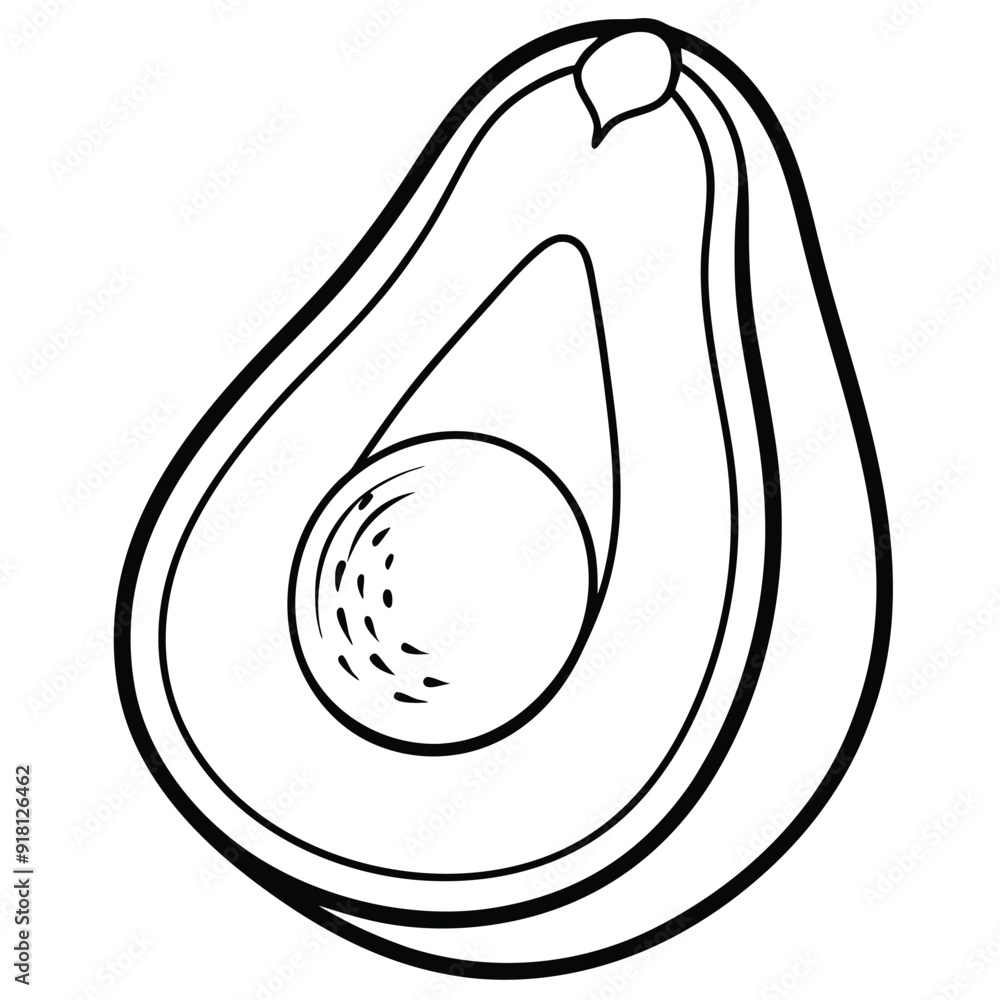vector avocado illustration, avocado template vector avocado illustration, avocado template