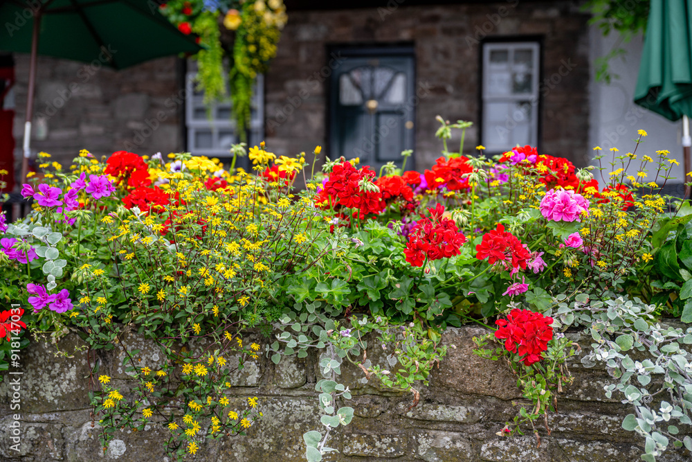 Naklejka premium flower garden
