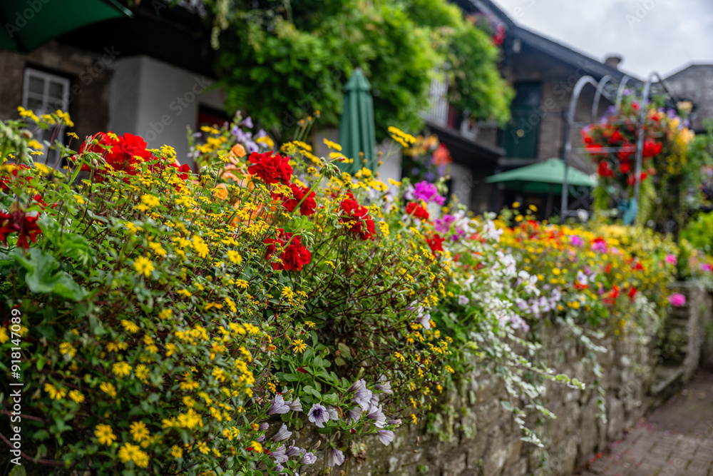 Naklejka premium flower garden