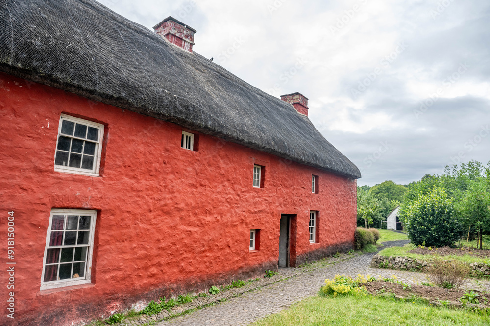 Fototapeta premium wales