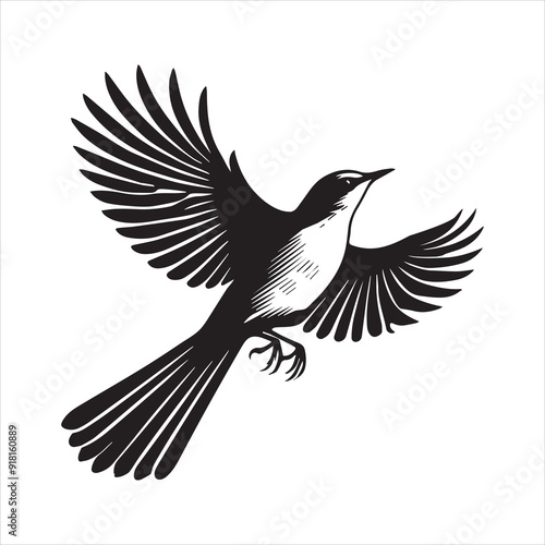 Northern mockingbird Clipart, Northern mockingbird silhouette, Bird illustration in black and white