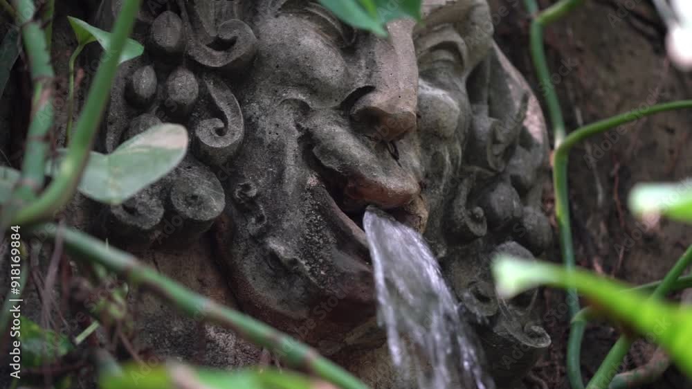 plants in the botanical garden with water flowing in the background - calm and relaxing videos plants in the botanical garden with water flowing in the background - calm and relaxing videos
