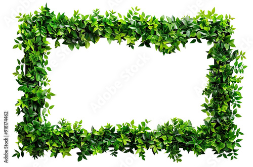 Lush green leaves forming a natural frame, cut out