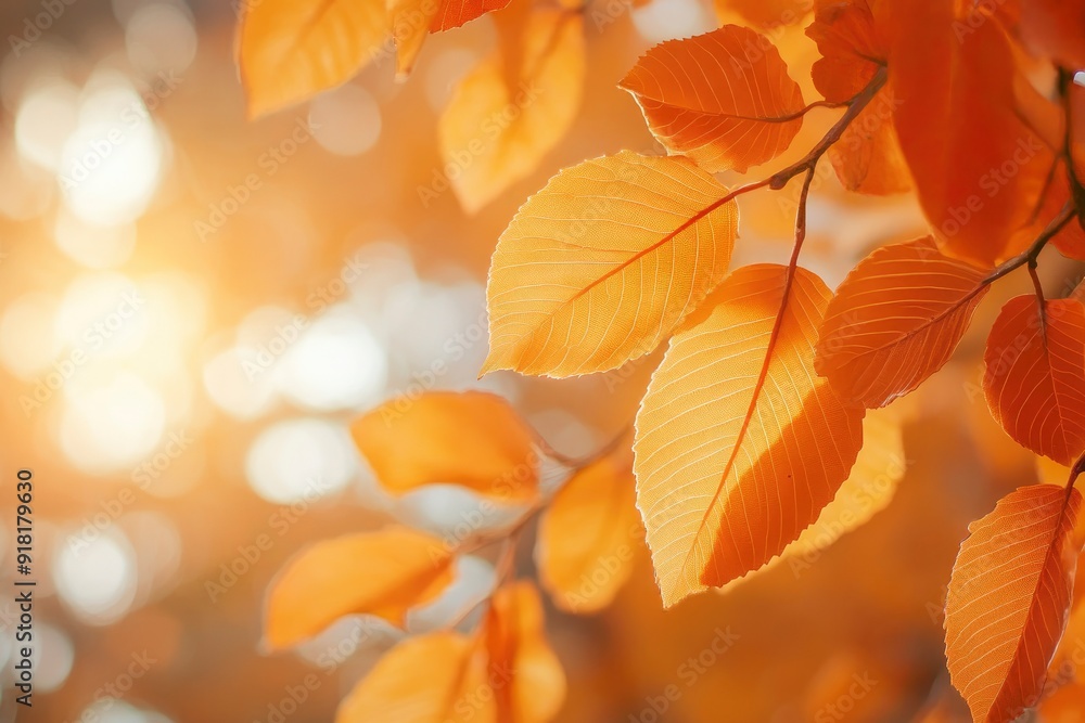 Orange fall leaves in park, autumn natural background with generative ai Orange fall leaves in park, autumn natural background with generative ai
